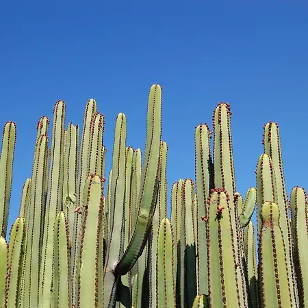 Lagos 31 By Villagrancanaria Maspalomas (Gran Canaria)